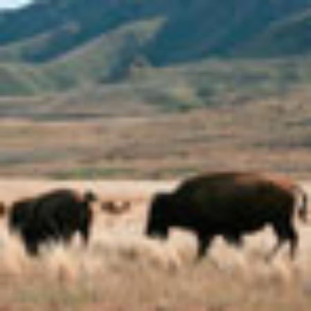 Sun Valley Lodge Dinning Room